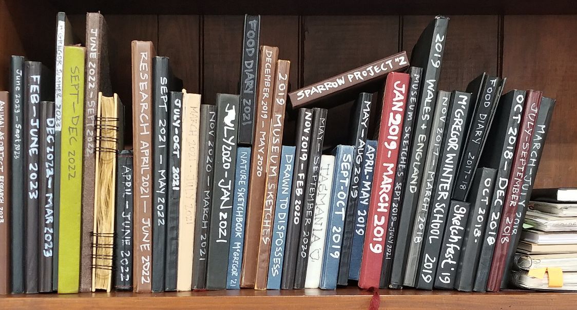 Photograph of artists sketchbooks lined up in a bookshelf. Each book has written date on the spine ranging from 2023 (left side) to 2018 (right side).