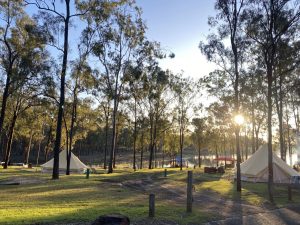 Lake Wivenhoe Campgrounds - bushland with lake in the background. Glamping tents scattered throughout the bush. Blue sky can be seen through the tall gumtrees.